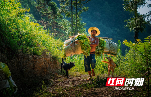 澧水发源地，澧水发源地在哪里（澧水之源”大灵山）