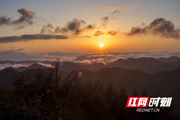 澧水发源地，澧水发源地在哪里（澧水之源”大灵山）