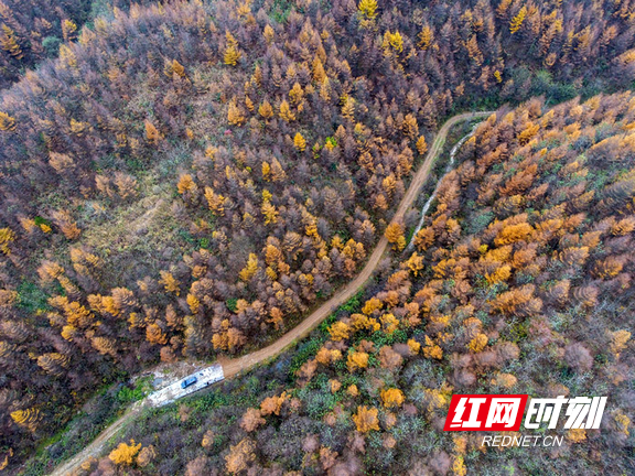 澧水发源地，澧水发源地在哪里（澧水之源”大灵山）