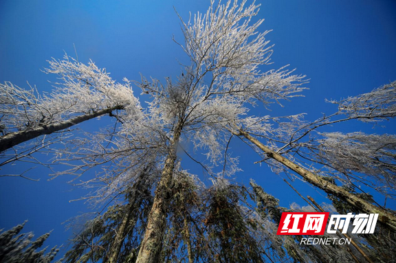 澧水发源地，澧水发源地在哪里（澧水之源”大灵山）