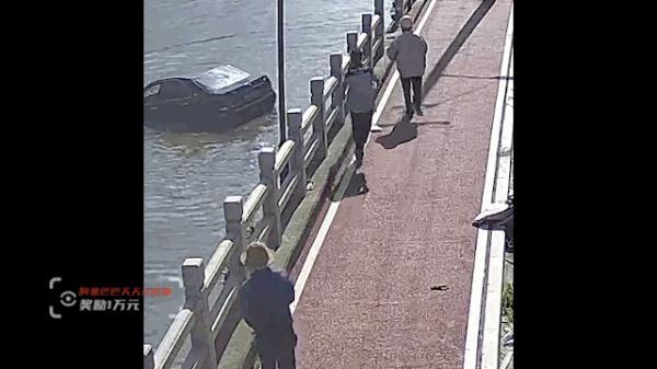 忠贞不渝生肖什么意思，又去打拼生活了……（忠贞不渝什么意思什么生肖请解释）