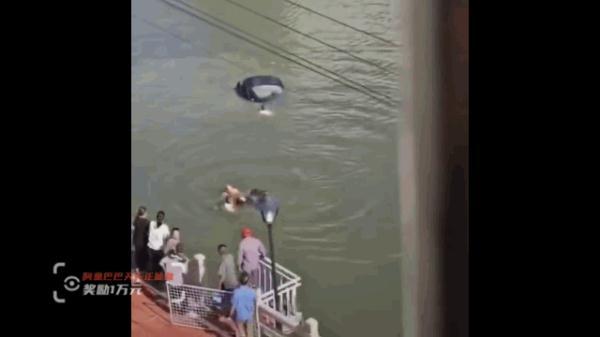 忠贞不渝生肖什么意思，又去打拼生活了……（忠贞不渝什么意思什么生肖请解释）