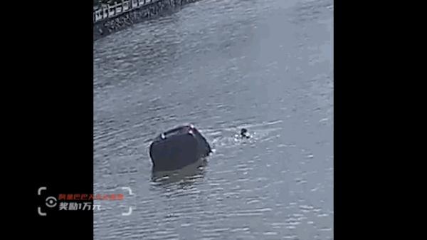 忠贞不渝生肖什么意思，又去打拼生活了……（忠贞不渝什么意思什么生肖请解释）