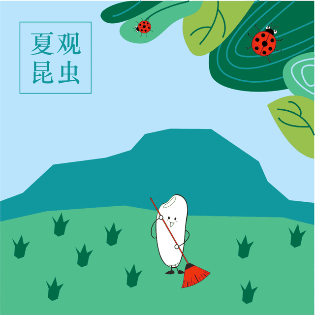 世界粮食日是什么时候，世界粮食日是什么时候44330（世界粮食日）