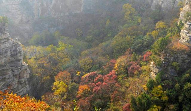 厦门有什么好玩的地方，厦门高新区附近有什么好玩的地方（推荐6处厦门免费又好玩的赏红叶景点）