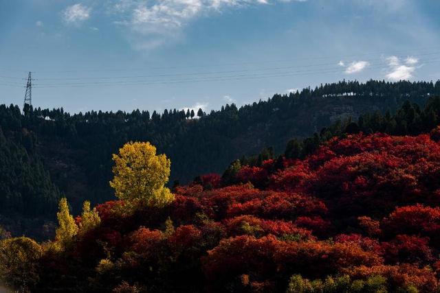 厦门有什么好玩的地方，厦门高新区附近有什么好玩的地方（推荐6处厦门免费又好玩的赏红叶景点）