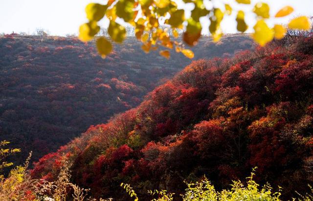厦门有什么好玩的地方，厦门高新区附近有什么好玩的地方（推荐6处厦门免费又好玩的赏红叶景点）