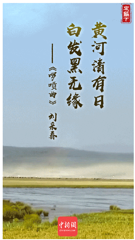 赞美黄河的诗句，刘禹锡描写黄河的诗句（那些年深植我们记忆中的诗词里的黄河……）