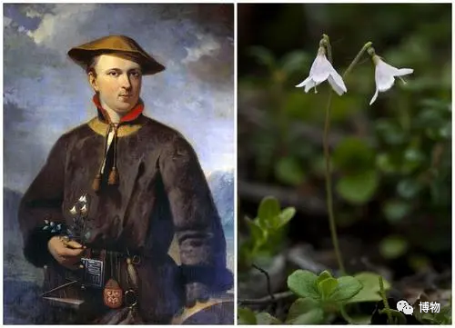 欧洲最大的半岛在哪里，欧洲的几大半岛（到底什么才是真正的“北欧风”）