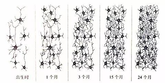 神经网络算法是什么，神经网络算法是什么系统（神经网络的原理及使用方法）