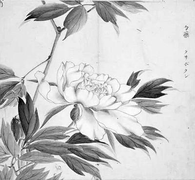 众言什么意思及解释，众言拼音怎么读（作为“经”的《诗经》——从《毛诗传笺》谈汉代《诗经》诠释）