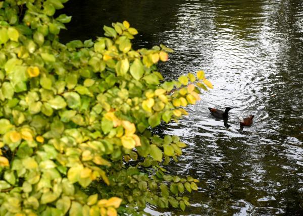 蔗去掉草字头读什么，蔗字去掉草字头还可以加什么（人生每个阶段都有一个美好的称谓）