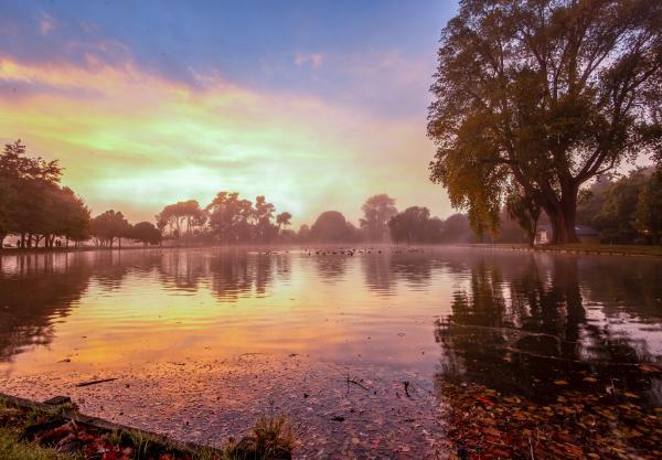 蔗去掉草字头读什么，蔗字去掉草字头还可以加什么（人生每个阶段都有一个美好的称谓）