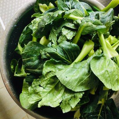 馄饨的做法 馄饨怎么做，馄饨的做法（美味签到——吃过都说好的大馄饨）