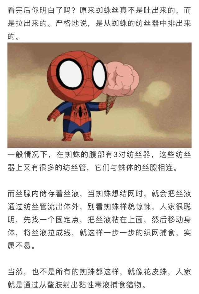 蜘蛛丝有毒吗，蜘蛛丝有毒吗图片（原来蜘蛛的丝不是吐出来的）