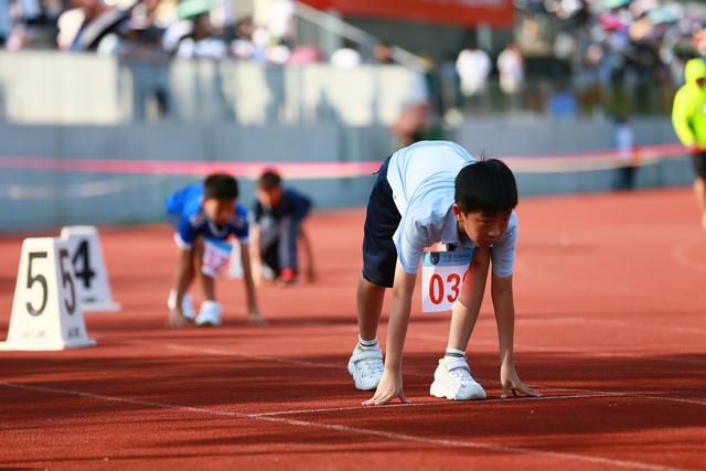 顾国和外国语学校，顾国和外国语学校分班考（凌云赛场——北仑区多所学校举行秋季校运会）