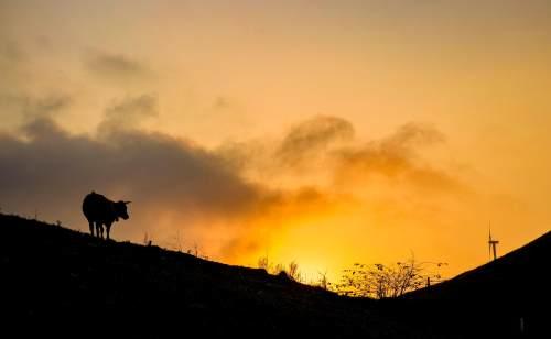 陪你一起看日出，有关陪你看日出的情话（有关陪你看日出的情话短句）