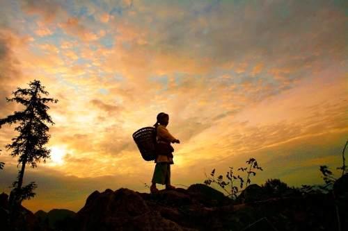 陪你一起看日出，有关陪你看日出的情话（有关陪你看日出的情话短句）