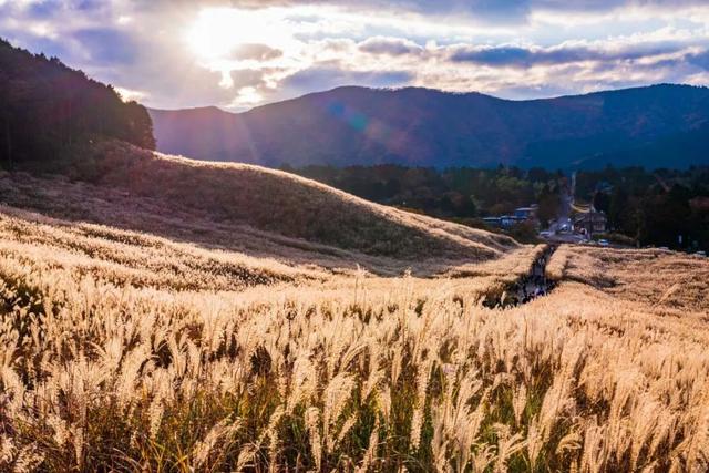 日本的美景，日本的美景作文200字（随手一拍都是风景大片图片）