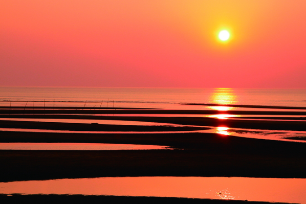 日本的美景，日本的美景作文200字（随手一拍都是风景大片图片）