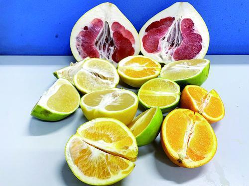 椪柑和橘子的区别，柑与橘的区别（橘柑橙柚，你分得清吗）