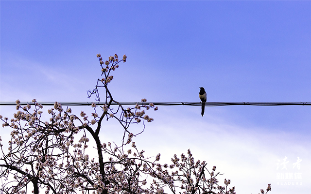 最新的经典名人名句大全，名人经典名句大全摘抄大全（10位作家的经典语录）