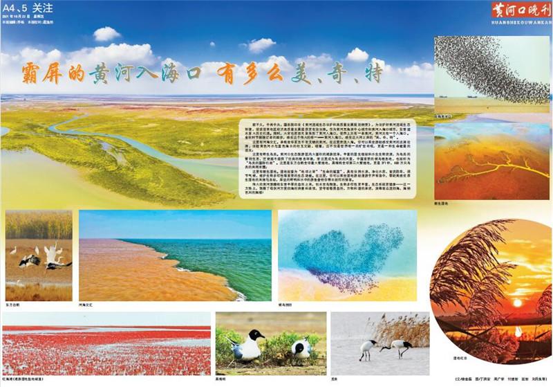 黄河入海口（霸屏的黄河入海口）