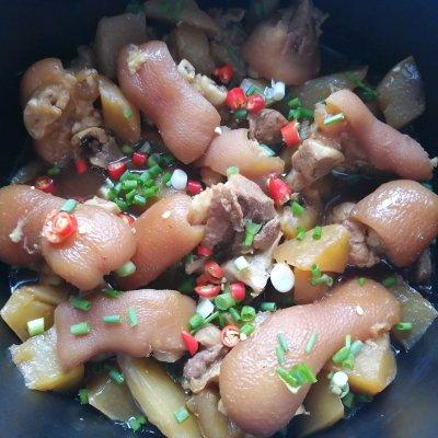 猪蹄炖什么好吃，猪蹄炖什么好吃又营养又养胃（吃猪蹄焖萝卜就对啦）