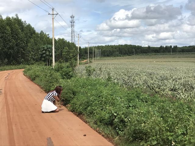 女人梦见自己光脚走路，女人梦见光脚走路什么意思（曾借口找工作“卧底”成为“凶手”好友）