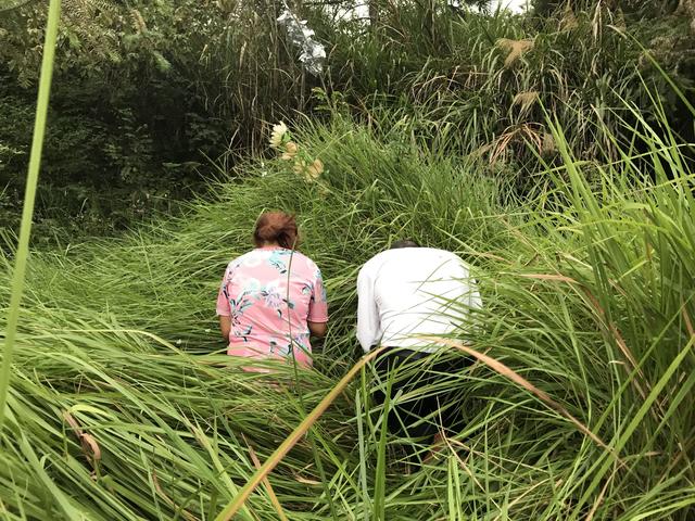 女人梦见自己光脚走路，女人梦见光脚走路什么意思（曾借口找工作“卧底”成为“凶手”好友）