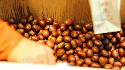 板栗是热性还是凉性，板栗有什么营养价值（中医给你举个“栗子”）