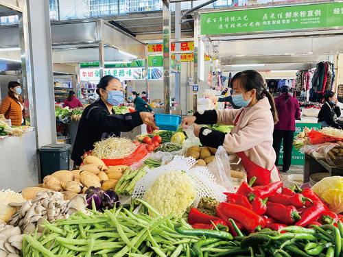 一颗娃娃菜多少克，今日娃娃菜多少钱一颗（一颗娃娃菜多少克）