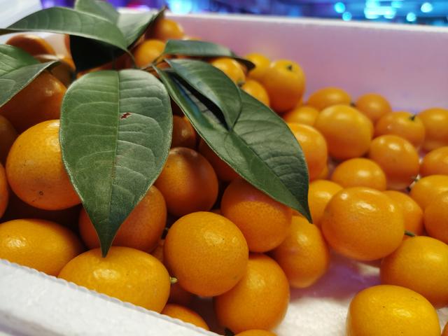 柑橘的营养价值，柑橘的营养价值及功效与作用（橘子吃多了会变“小黄人”）