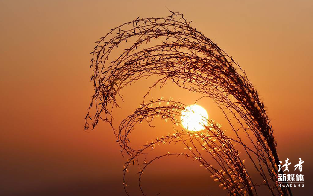 名人名言简短10句，各种名人名言简短的80句（10句诺奖作家的经典名言）