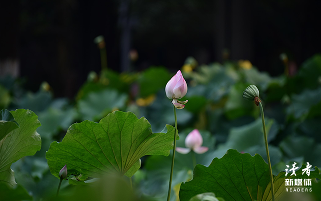 名人名言简短10句，各种名人名言简短的80句（10句诺奖作家的经典名言）
