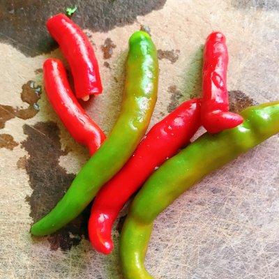 萝卜丝怎么炒好吃，素炒萝卜丝怎么炒好吃（用这道炒萝卜丝征服家人的味蕾吧）