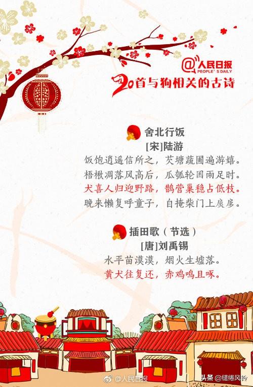 带鸟名的诗句，带鸟名的诗句飞花令（《人民日报》推荐20首与狗相关的古诗）