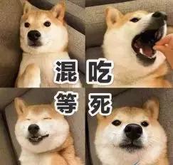 颐的拼音是什么，颐的拼音（颐指气使）