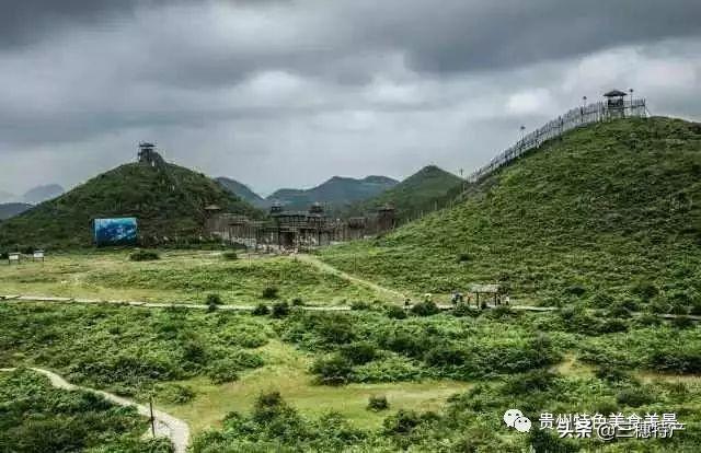 真正的龙眉图片，哪种眉毛是富贵眉毛（贵州旅游攻略之地球上的彩带——花的海洋百里杜鹃）