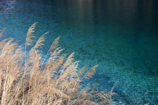 霜降的诗句，白露霜降的诗句（30首霜降诗词：霜降鸿声切）