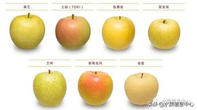 果蜜是什么，柠檬果蜜是什么（走进日本苹果第一大县“青森县”）