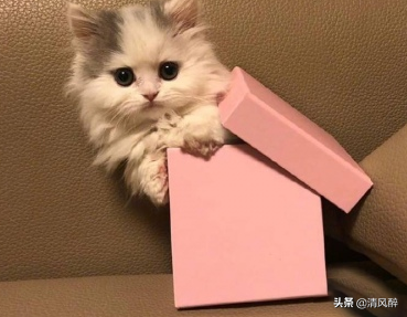 微信说说心情，微信说说心情句子简短心累（微信心情说说气质句）