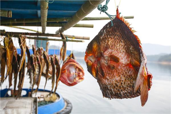 吃肉肉长肉肉的诗句，关于肥肉的诗句（跟着镜头品诗词）