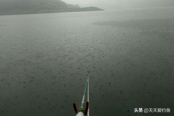 下雨后钓鱼钓深水还是浅水，夏季下完雨钓鱼钓深水还是钓浅水（夏季雨天钓鱼，钓底还是钓浮）