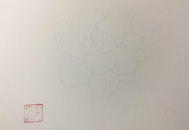 如何画简单的多肉植物，多肉怎样画简单（水彩教你怎么画可爱的多肉）