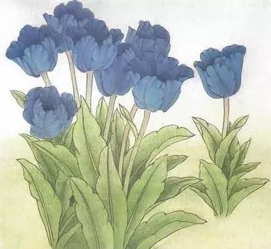 美人蕉常见病害之花叶病，美人蕉叶子叶边枯（花木病害类识别与防治）