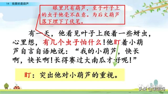 什么的枝叶填空，什么枝叶填空二年级（部编版二年级上册第14课《我要的是葫芦》课件及同步练习）