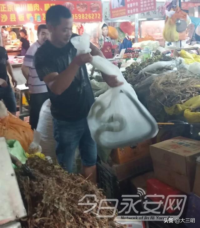 蛇的形态特征和生活习性，蛇的形态特点（永安人，蛇出没）