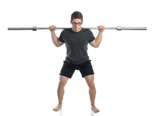 杠铃深蹲练什么部位，杠铃深蹲是练哪些部位（激活整个下肢肌肉群）