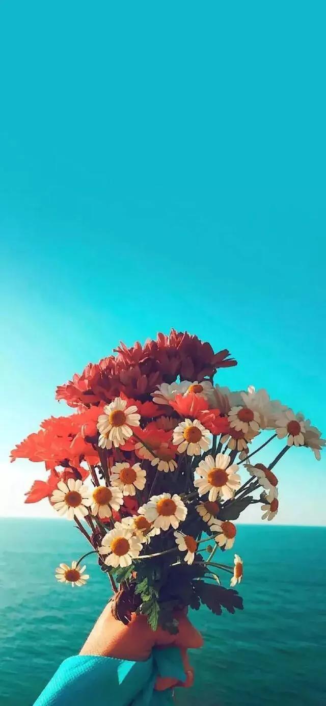 欧美 唯美，欧美唯美（欧美唯美小清新壁纸图片）